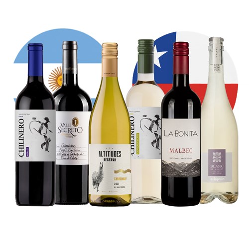 Experience South American Wine Case of 6 - Premium Quality